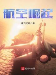 类似航空崛起的