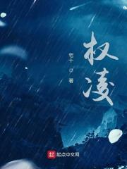 权凌天贝宠全文免费阅读