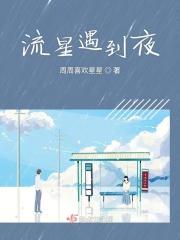 流星·夜歌曲原唱