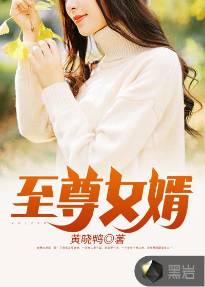 至尊女婿叶辰全本免费阅读