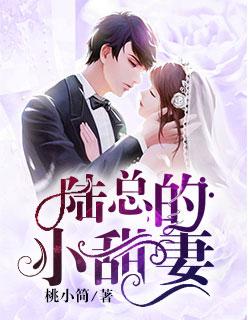 陆总的专宠小娇妻