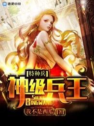 特种兵之神级兵王作者冷少