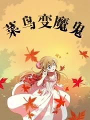 菜鸟变大师