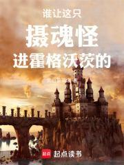 谁让这只摄魂怪进霍格沃茨的无弹窗