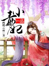 一品小毒妃 画楼云雨