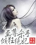 至尊杀手妃凤破九霄笔趣阁