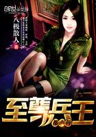 至尊兵王卓公子叶枫