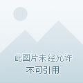 独自修真在都市