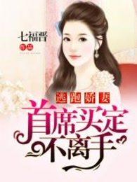 逃跑娇妻：首席买定不离手