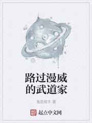 路过漫威的武道家