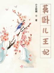 莫卧儿王妃
